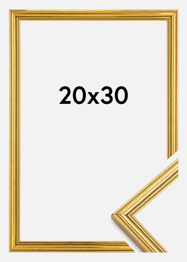 Ramme Classic Guld 20x30 cm