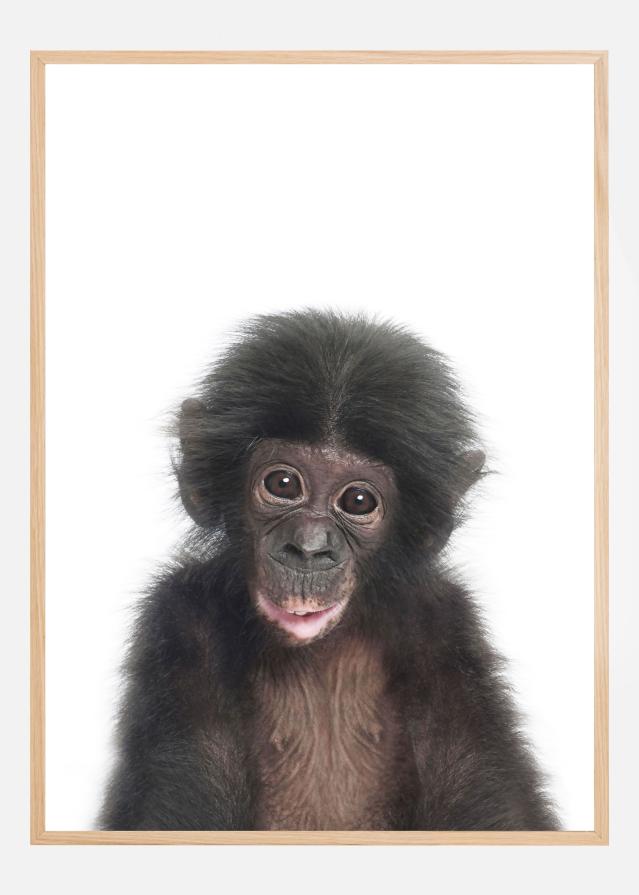 Baby Monkey Plakat