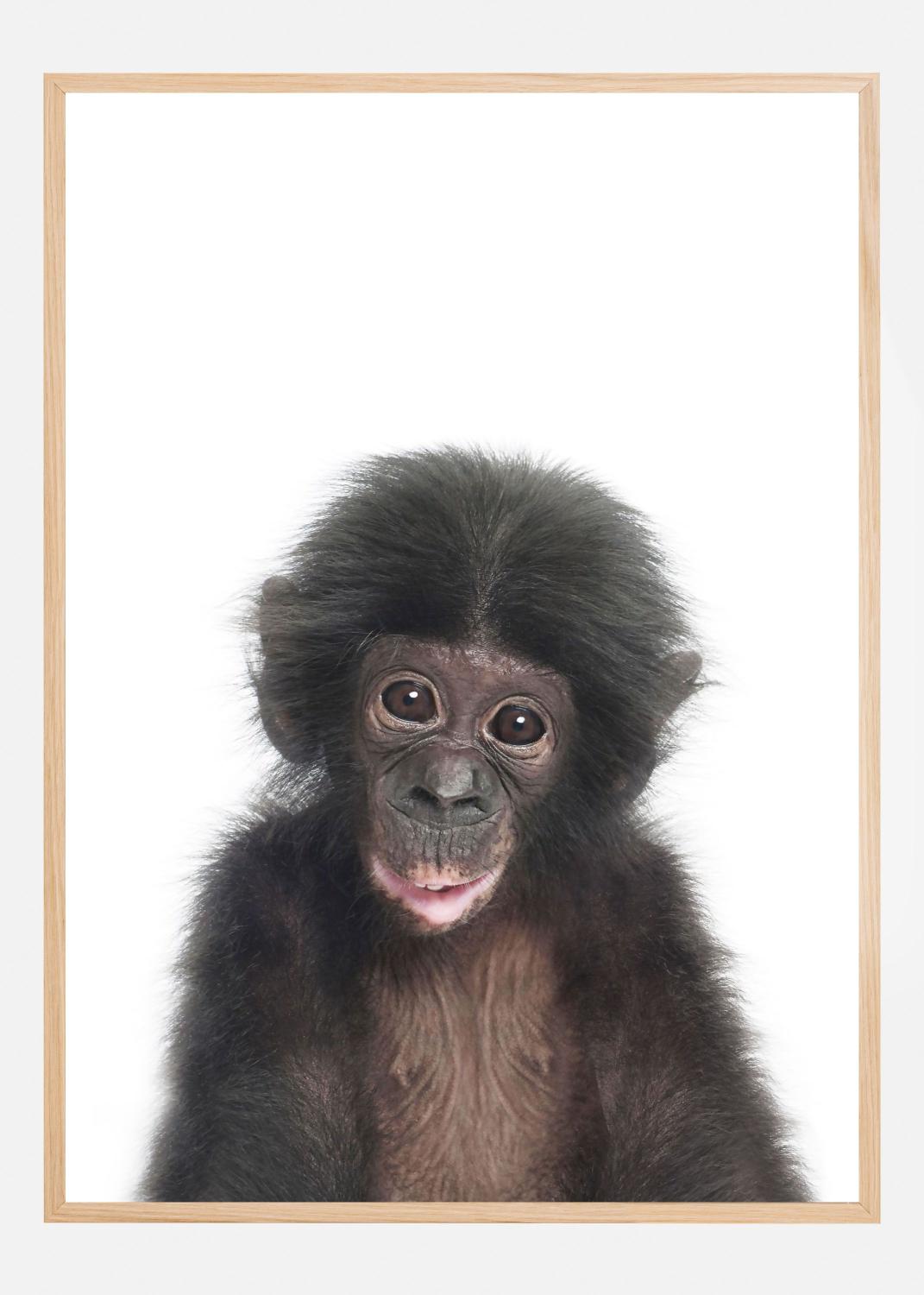 Product Image for Baby Monkey Plakat (21x29.7 cm (A4))