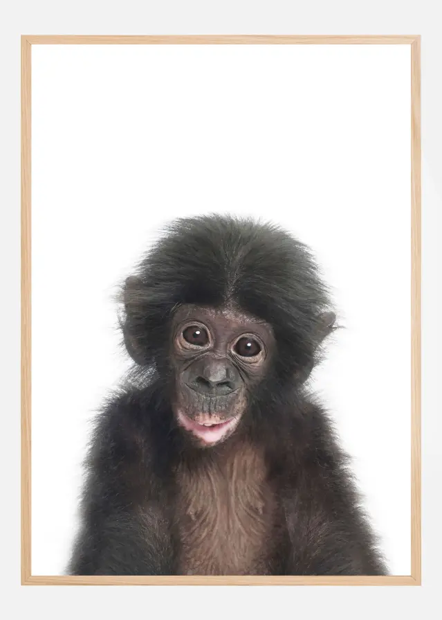 Baby Monkey Plakat