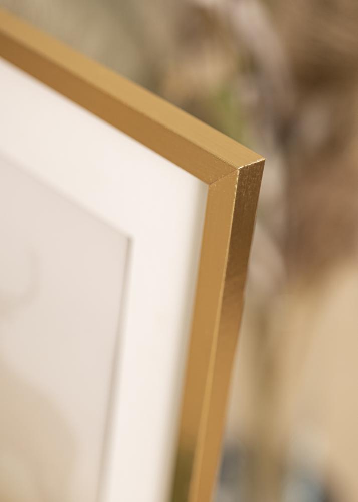 Ramme Trendy Akrylglas Guld 42x59,4 cm (A2)