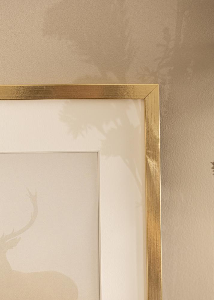 Ramme Trendy Akrylglas Guld 42x59,4 cm (A2)