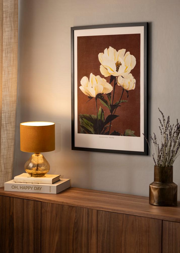 Ramme BGA Classic Akrylglas Sort 70x100 cm