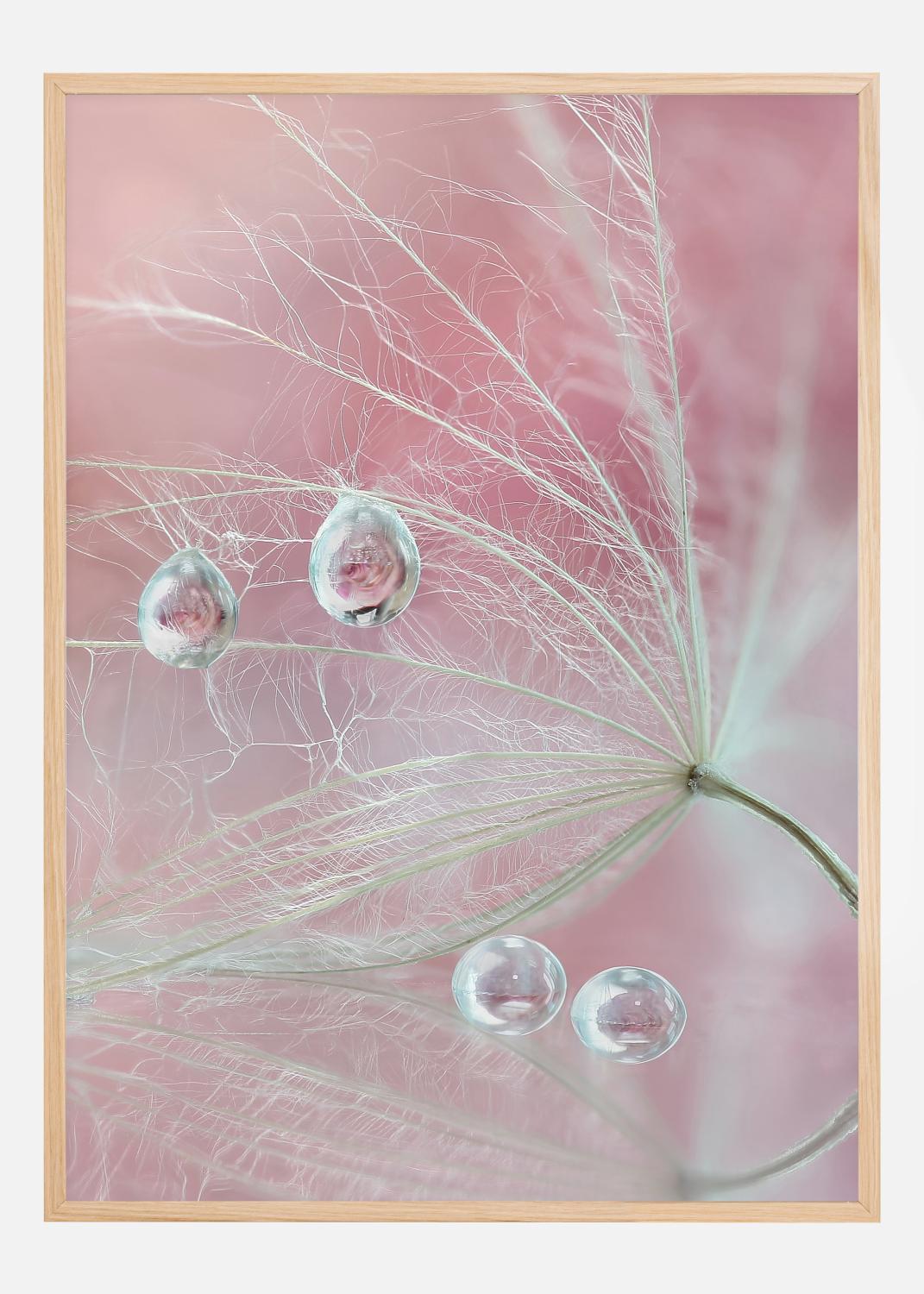 Product Image for Two of us Plakat (21x29.7 cm (A4))