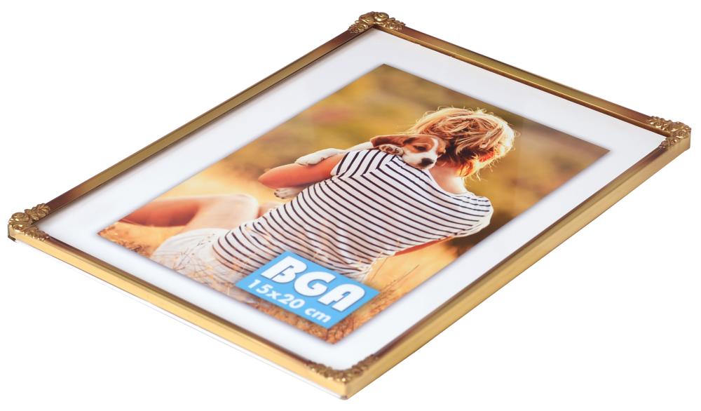 Ramme Rosen Metal Guld 20x30 cm