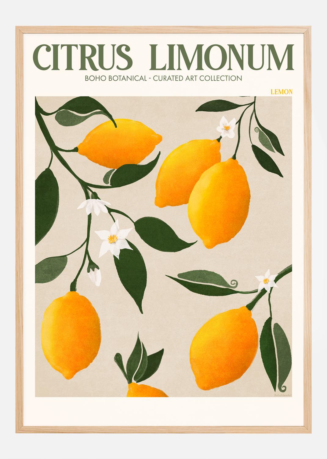 Product Image for Boho Citrus Limonum Plakat (21x29.7 cm (A4))