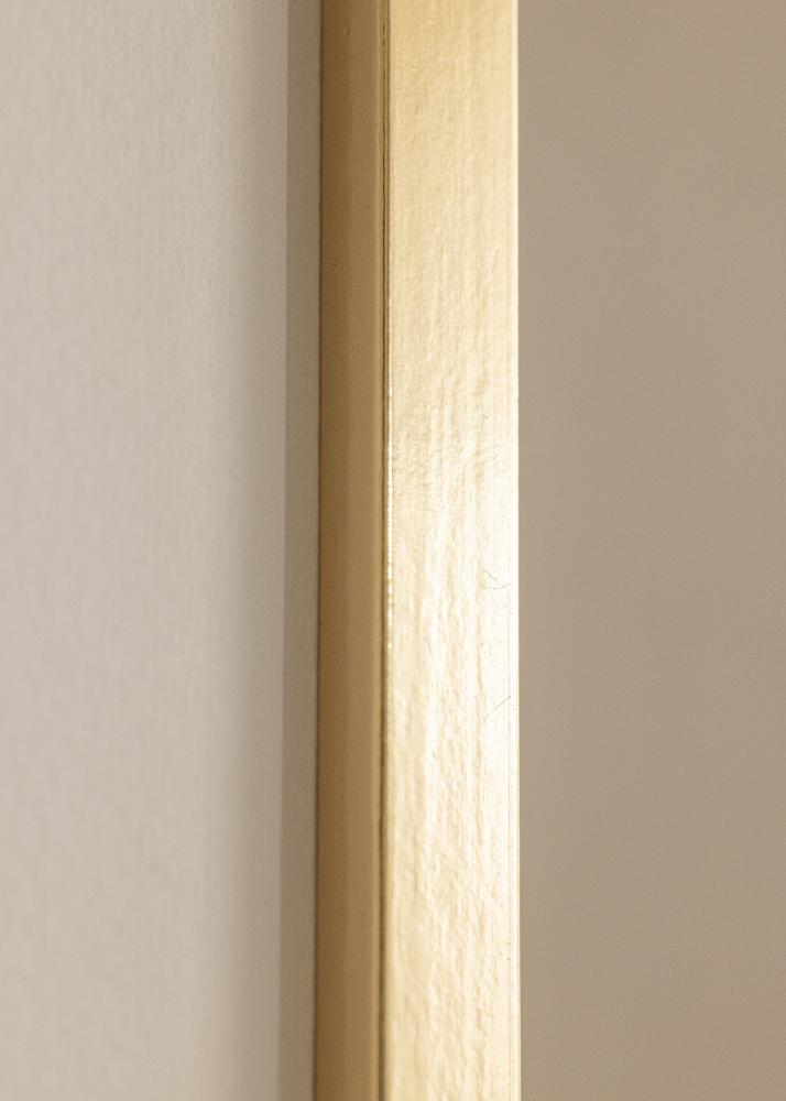 Ramme Trendy Akrylglas Guld 42x59,4 cm (A2)