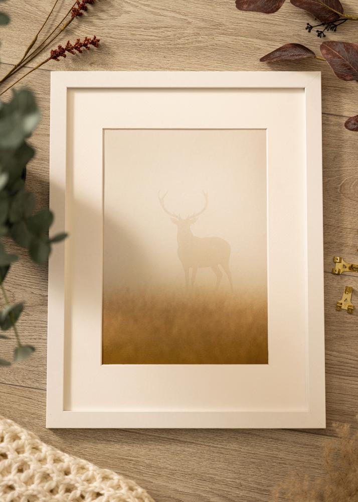 Ramme Deco Akrylglas Hvid 20x30 cm