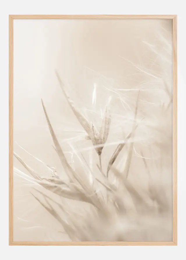 Beige Dried Straws l Plakat
