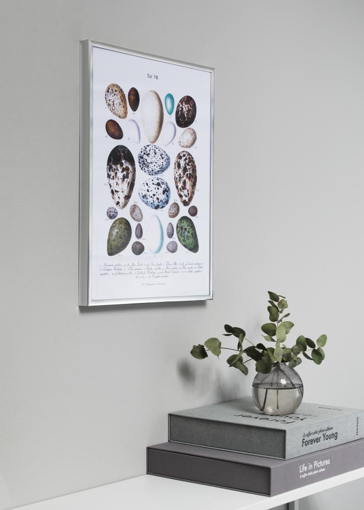 Ramme Poster Frame Aluminum Sølv 70x100 cm - Passepartout Sort 60x90 cm