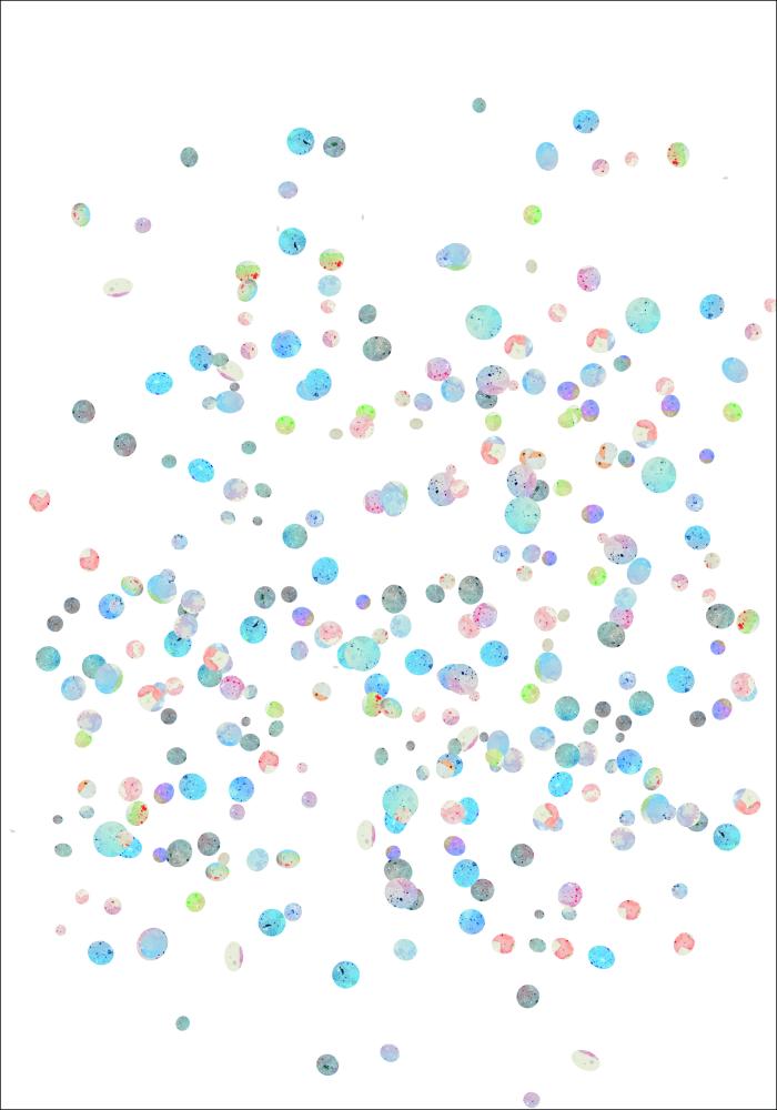 Plankton Plakat