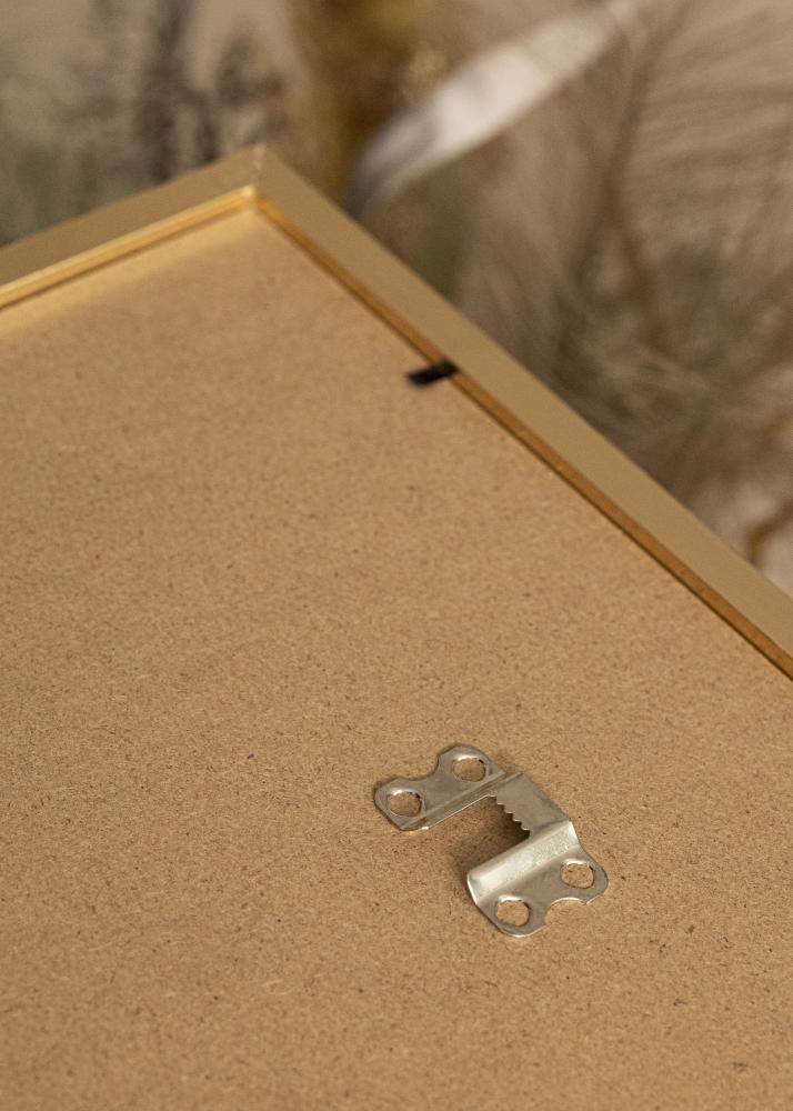 Ramme Trendy Akrylglas Guld 42x59,4 cm (A2)