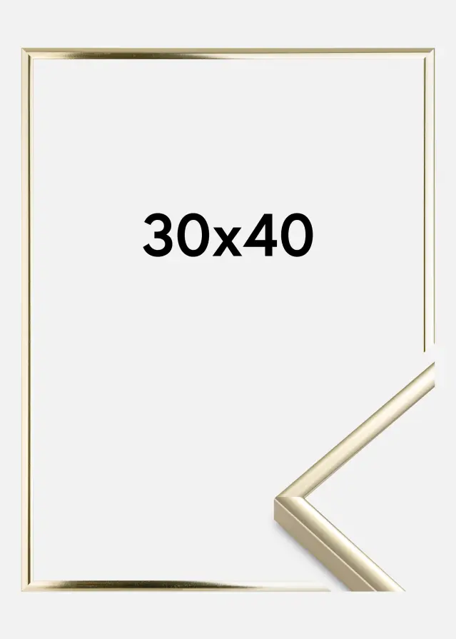 Ramme Aluminium Akrylglas Blank Guld 30x40 cm