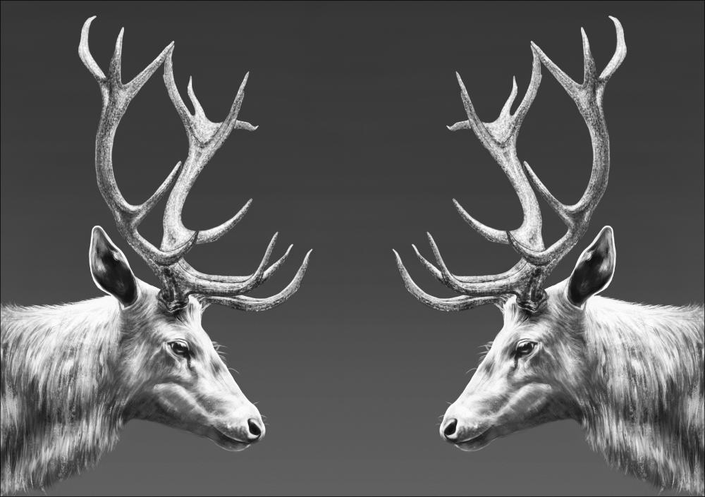 REINDEER DOUBLE Plakat
