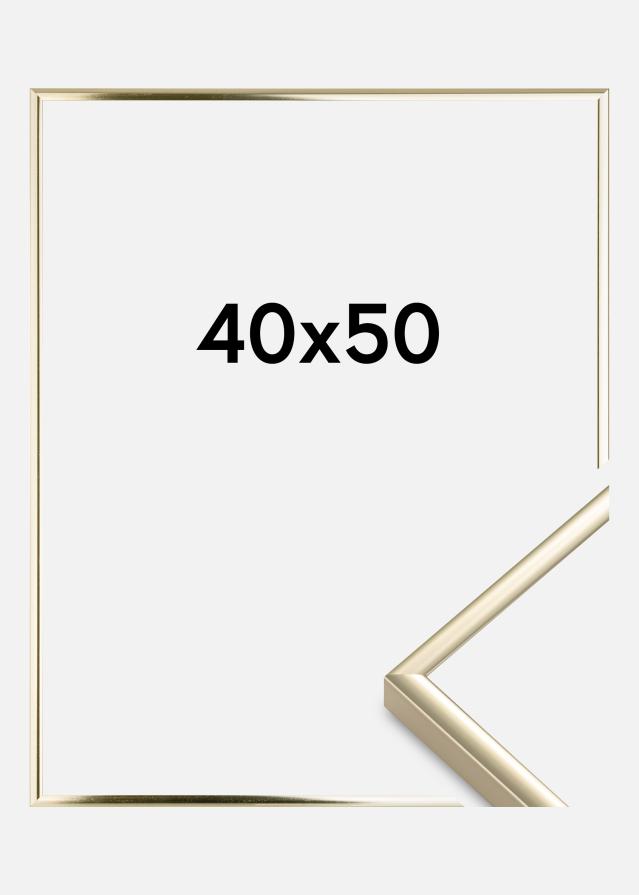 Ramme Aluminium Akrylglas Blank Guld 40x50 cm