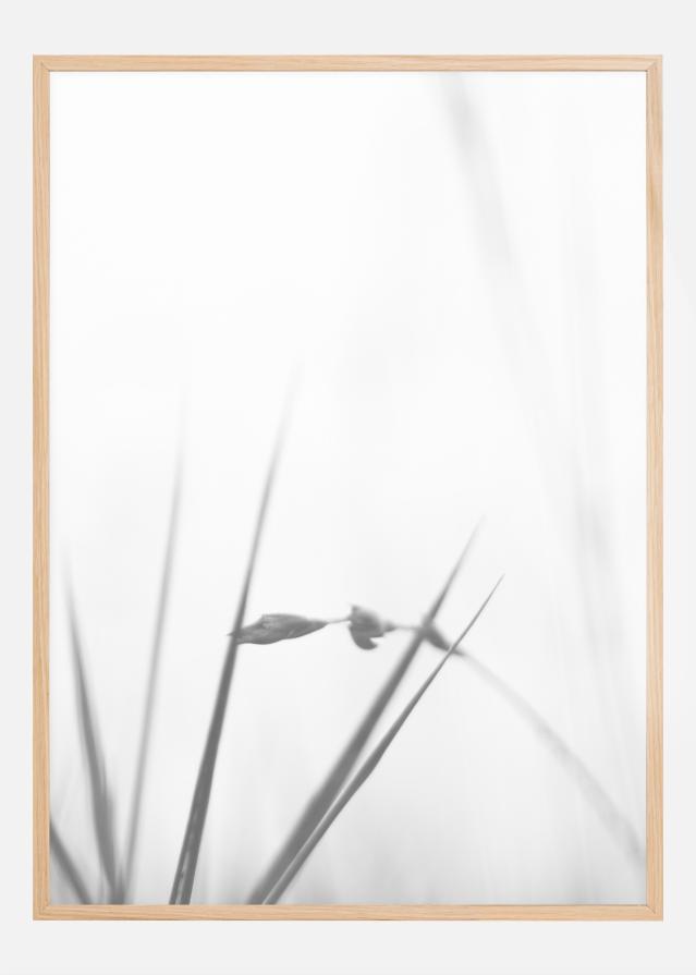 Fog Plakat