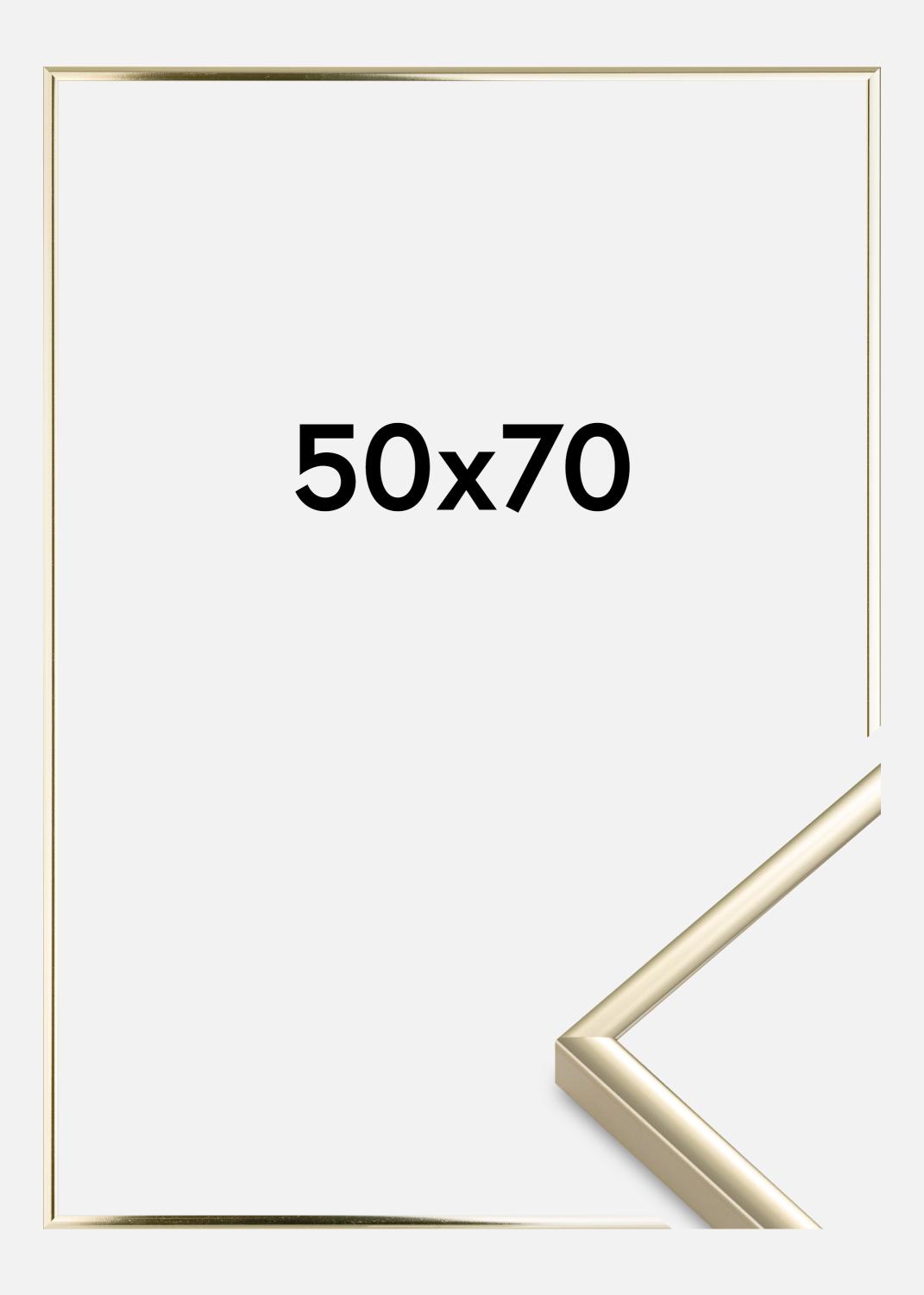 Product Image for Ramme Aluminium Akrylglas Blank Guld 50x70 cm
