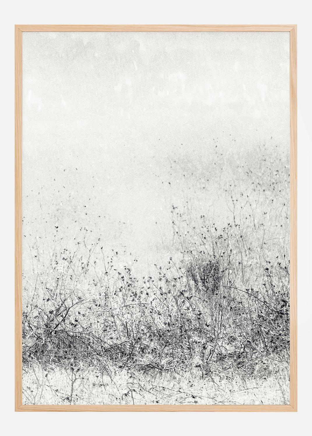 Product Image for The endless grassfields Plakat (30x40 cm)