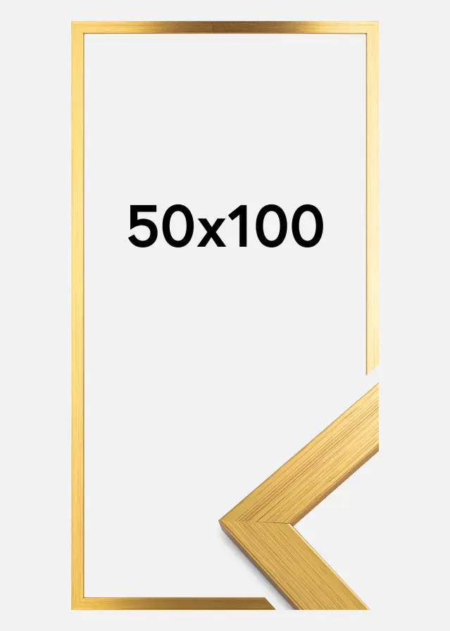 Ramme Gold Wood Akrylglas 50x100 cm