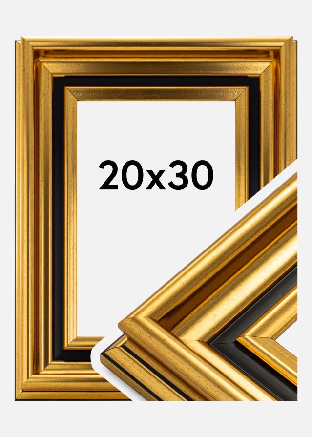 Ramme Gysinge Premium Guld 20x30 cm