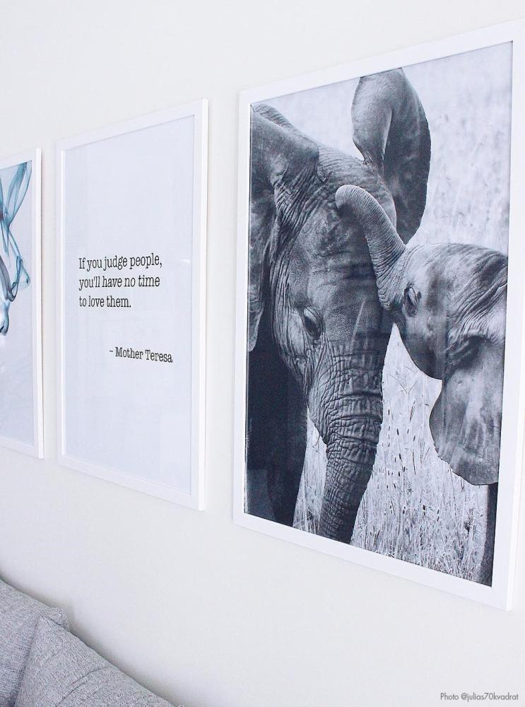 Elefant med unge - 50x70 cm