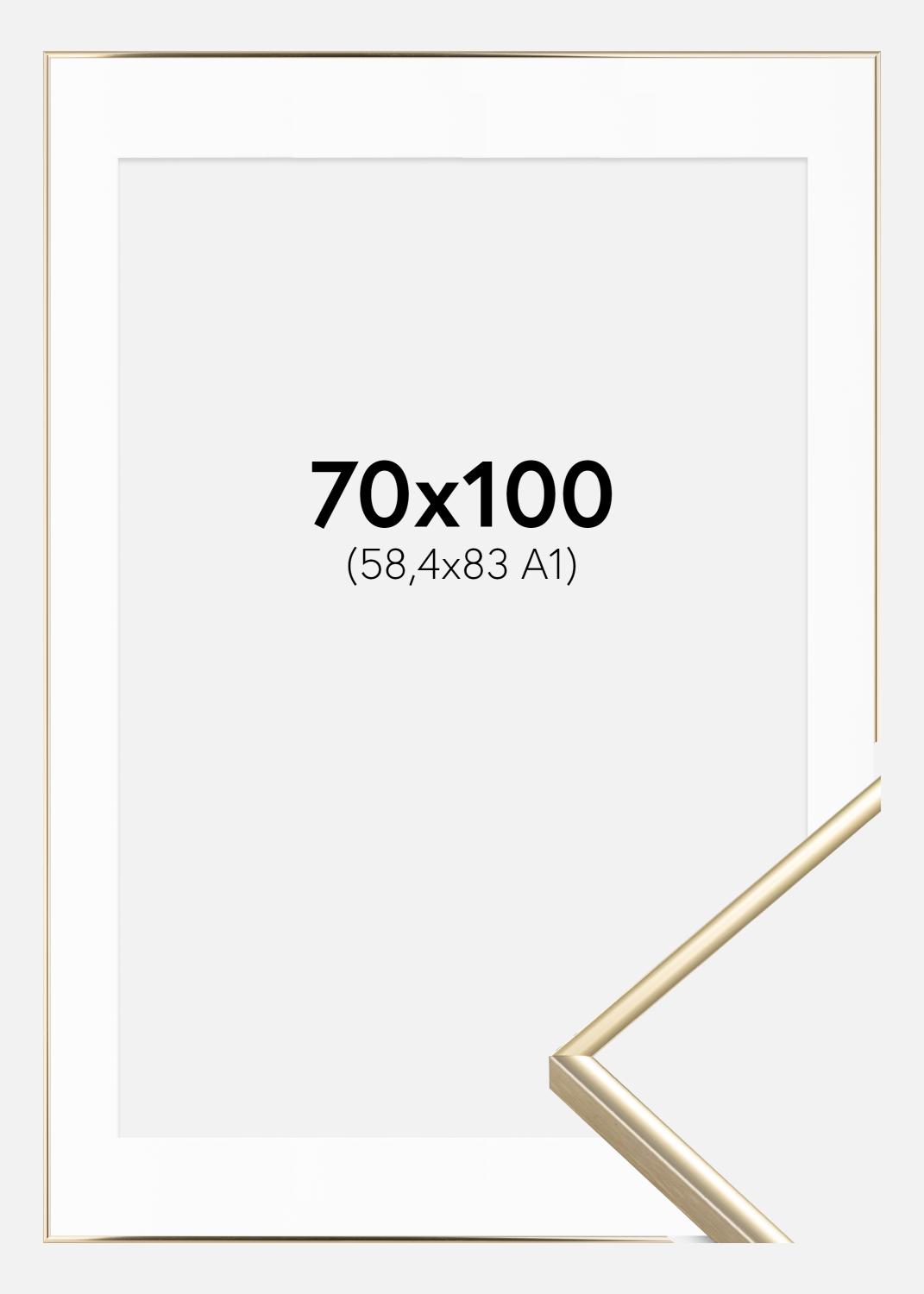 Product Image for Ramme Visby Blank Guld 70x100 cm - Passepartout Hvid 59,4x84 cm (A1)