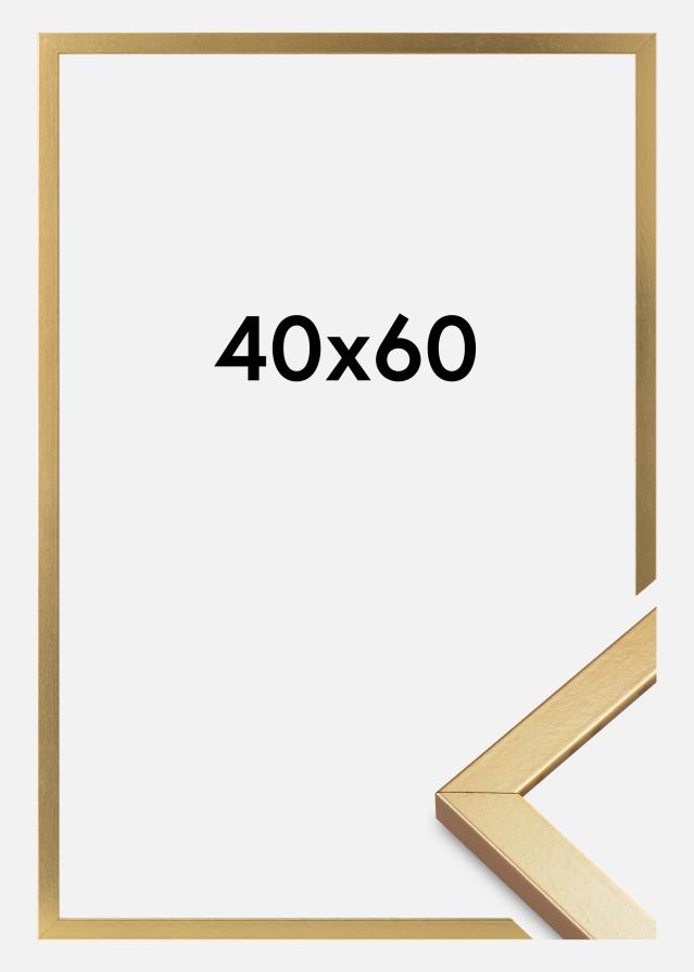 Ramme Minerva Akrylglas Guld 40x60 cm