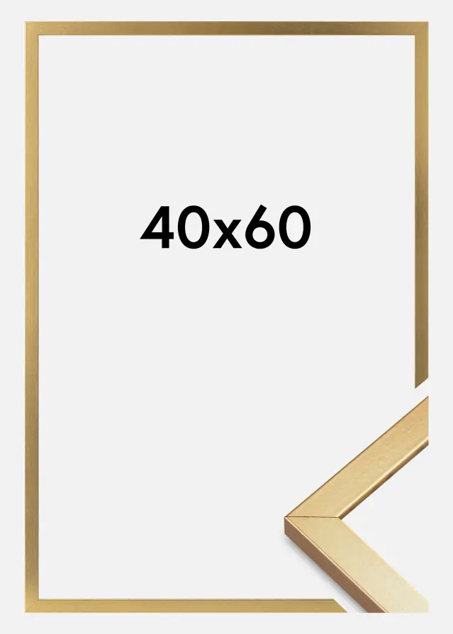 Ramme Minerva Akrylglas Guld 40x60 cm