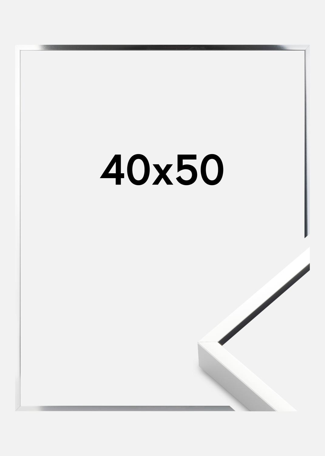 Product Image for Ramme Nielsen Premium Alpha Blank Sølv 40x50 cm
