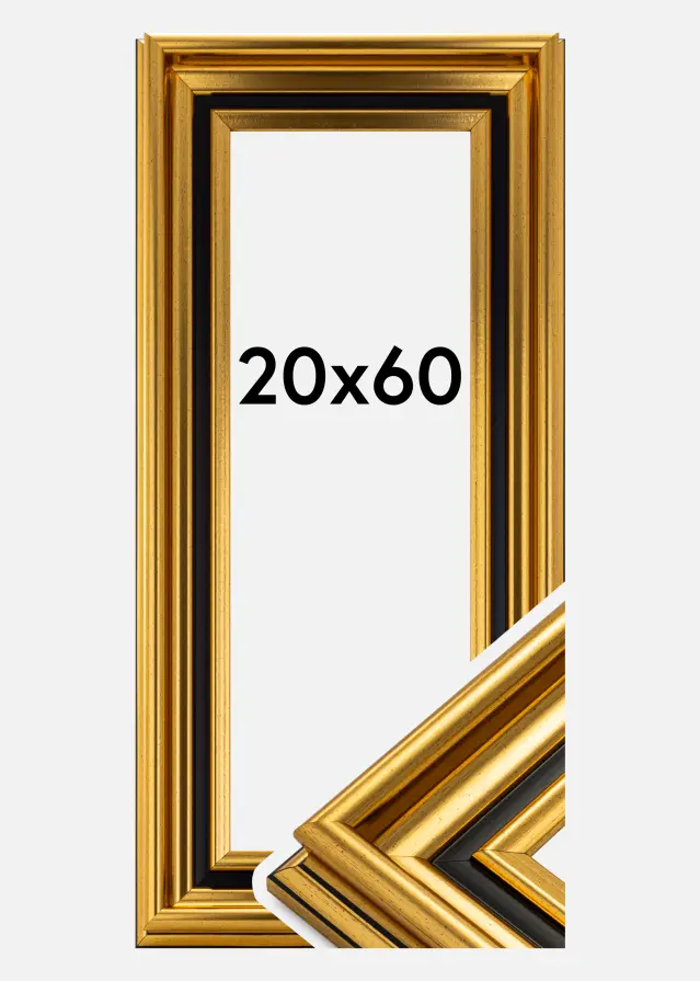 Ramme Gysinge Premium Guld 20x60 cm