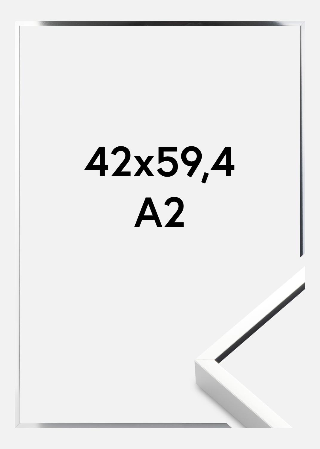 Product Image for Ramme Nielsen Premium Alpha Blank Sølv 42x59,4 cm (A2)