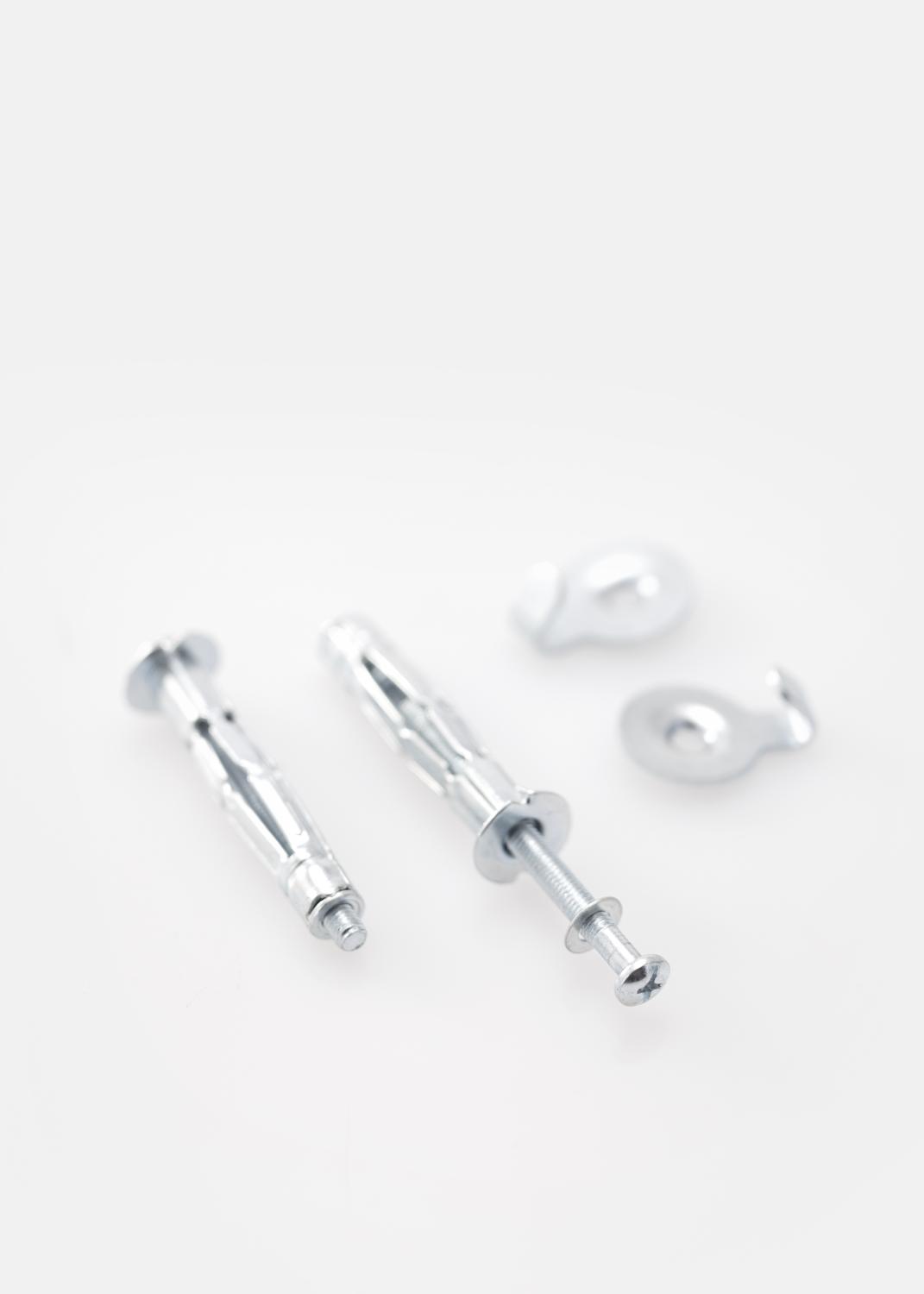 Product Image for Skrue og plug til gipsvægge 5 mm - 2 pack
