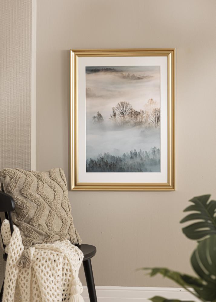 Ramme Charleston Guld 60x80 cm