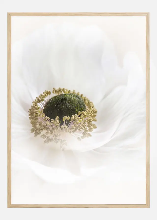 Pure Plakat