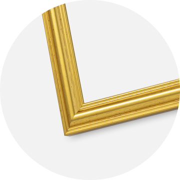 Ramme Frigg Guld 30x40 cm