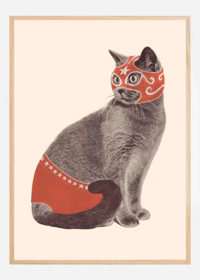 Chat Catcheur Plakat