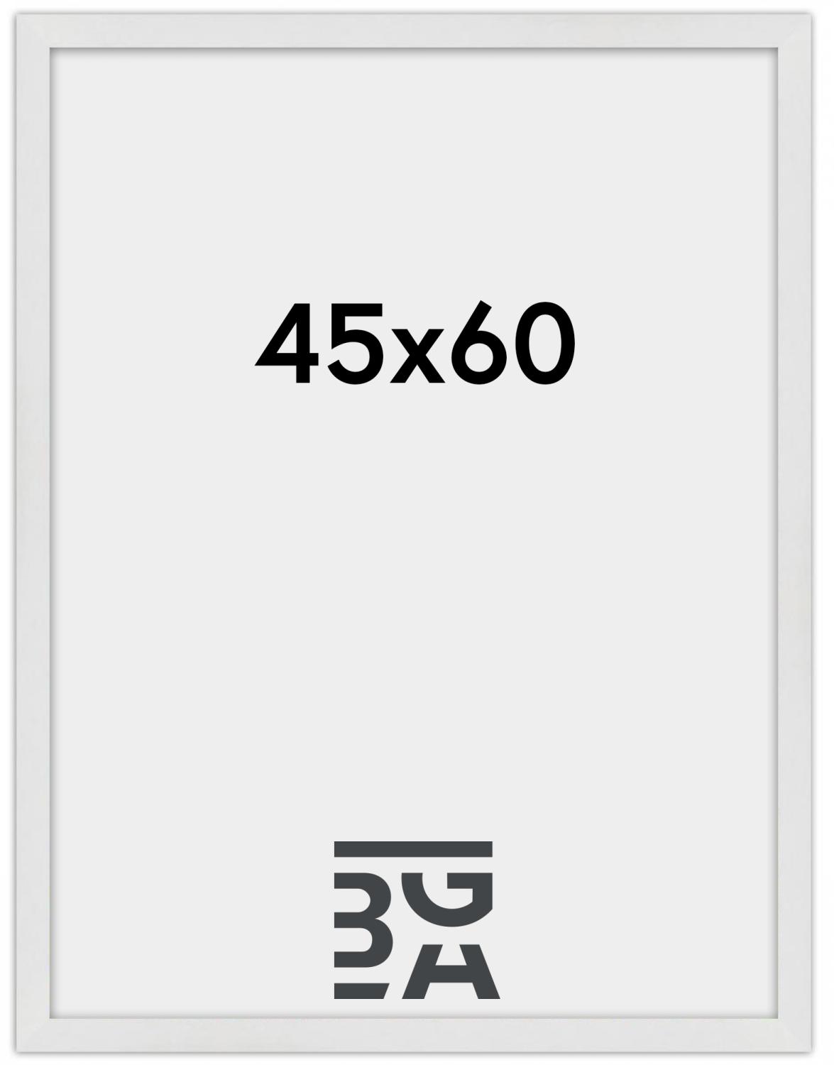 Product Image for Ramme Nielsen Apollo Hvid 45x60 cm