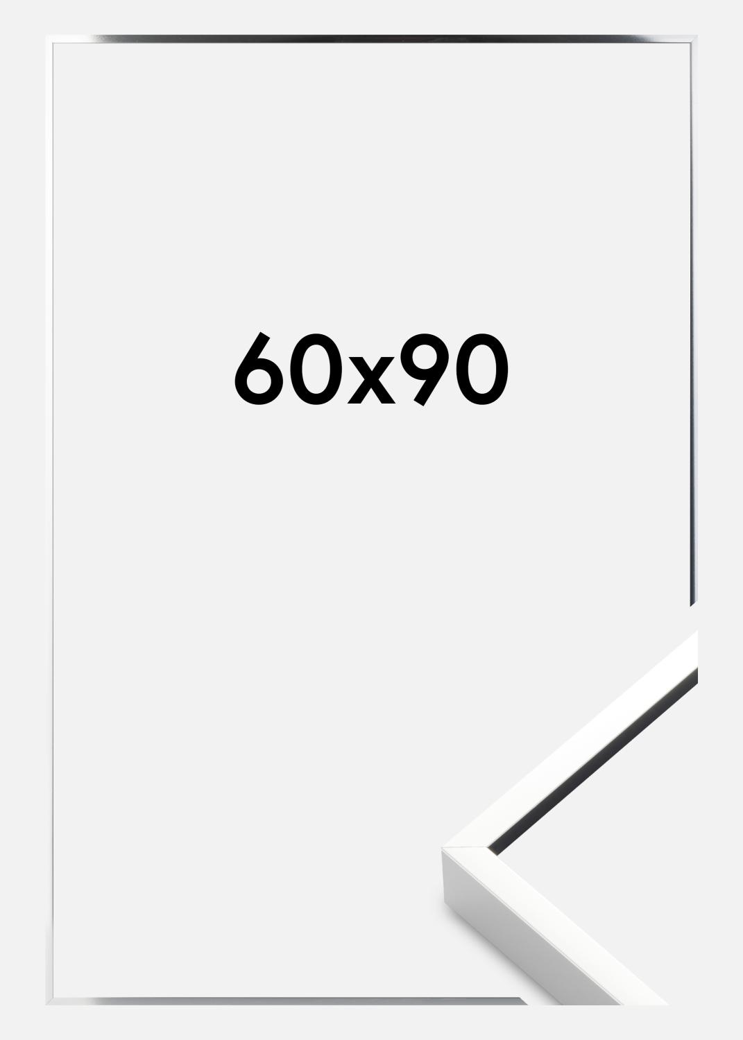 Product Image for Ramme Nielsen Premium Alpha Blank Sølv 60x90 cm
