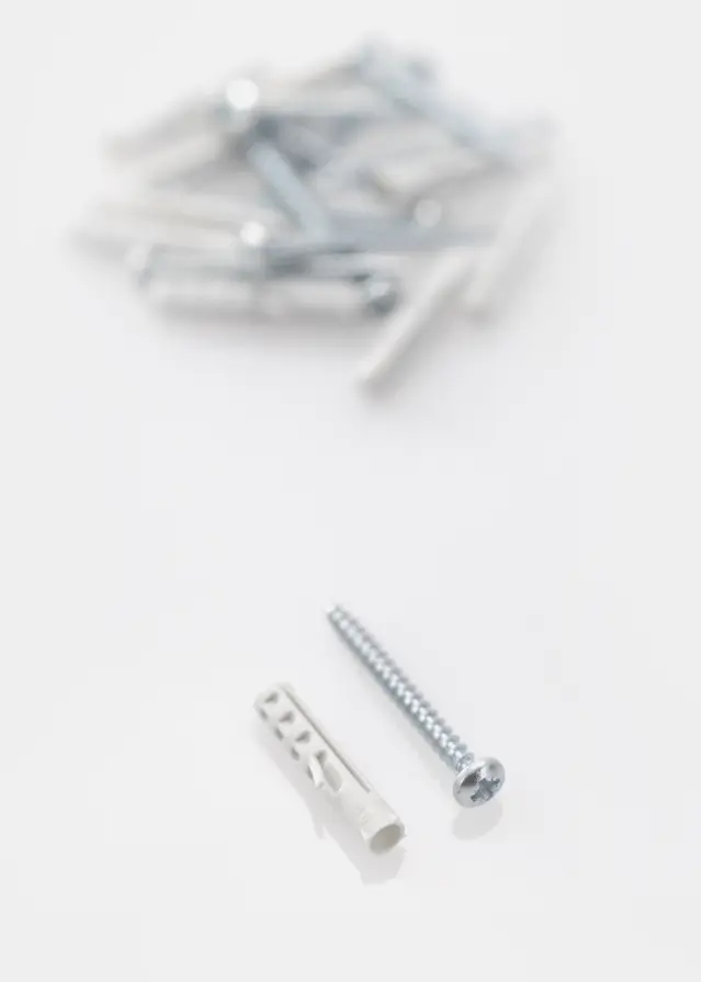Rawlplugs 25 x 5,5 mm med skrue 10-p