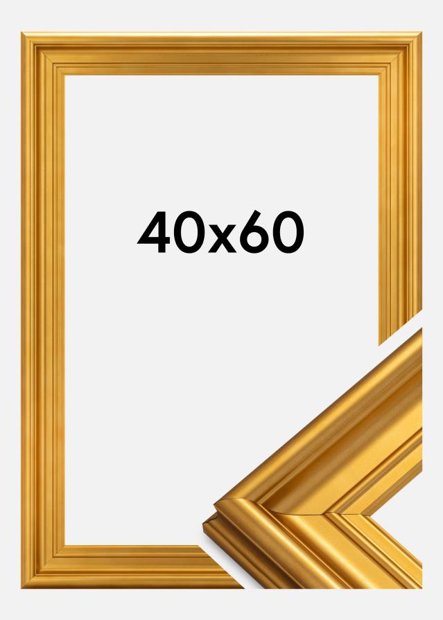 Ramme Mora Premium Guld 40x60 cm