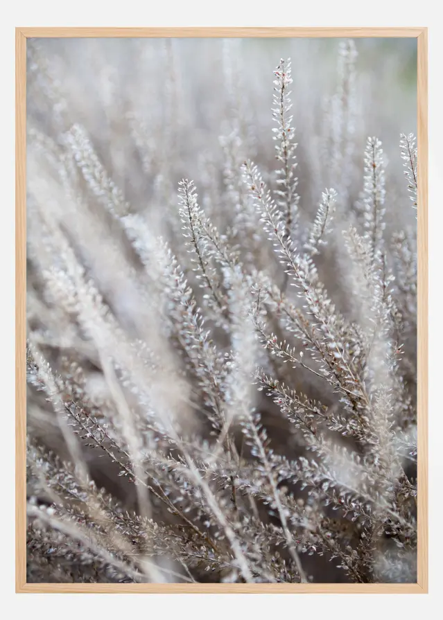 Frosty Grass Plakat