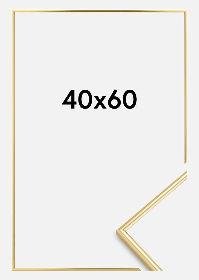 Ramme Can-Can Guld 40x60 cm