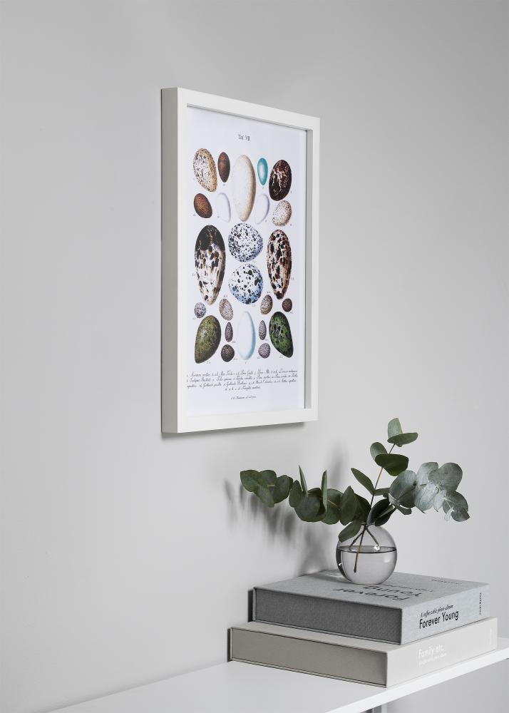 Ramme Eksklusiv Hvid 15x15 cm