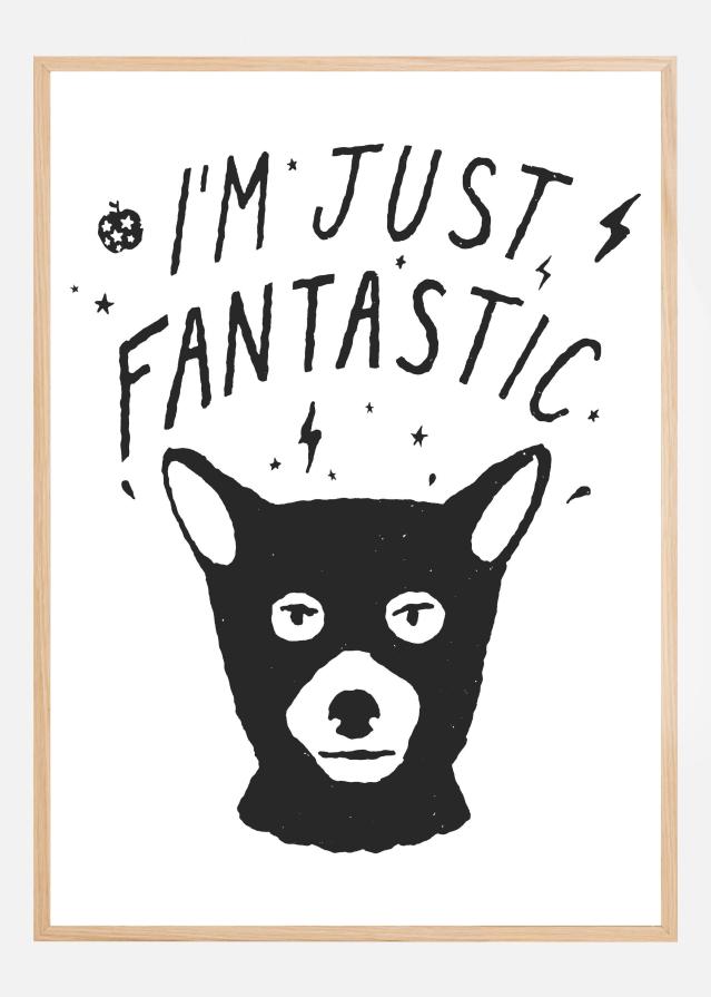 Im Just Fantastic Plakat