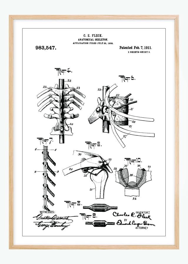 Patenttegning - Anatomisk Skelet III Plakat