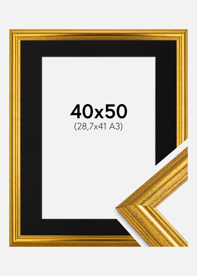 Ramme Västkusten Guld 40x50 cm - Passepartout Sort 29,7x42 cm (A3)