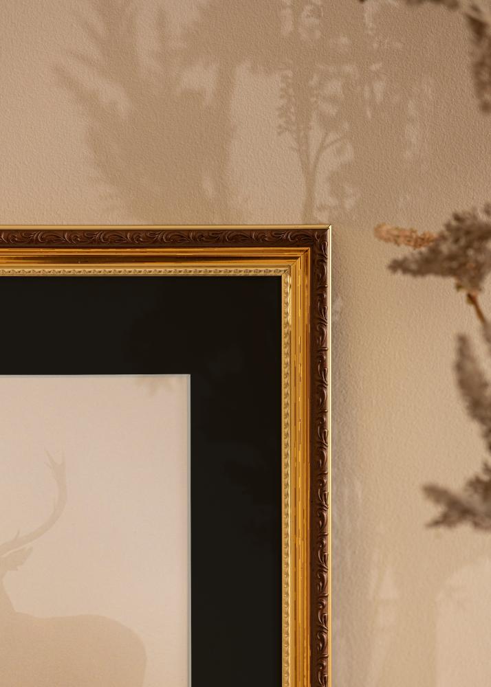 Ramme Abisko Guld 30x40 cm - Passepartout Sort 18x27 cm
