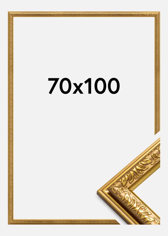 Ramme Nostalgia Guld 70x100 cm