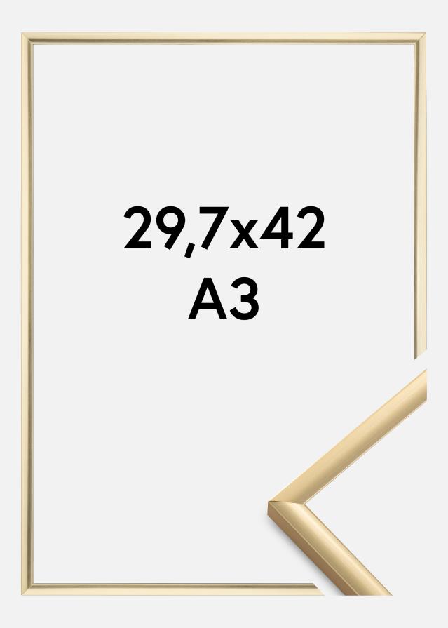 Ramme New Lifestyle Guld 29,7x42 cm (A3)