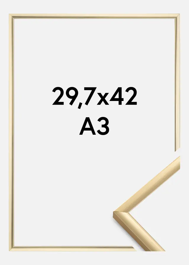Ramme New Lifestyle Guld 29,7x42 cm (A3)